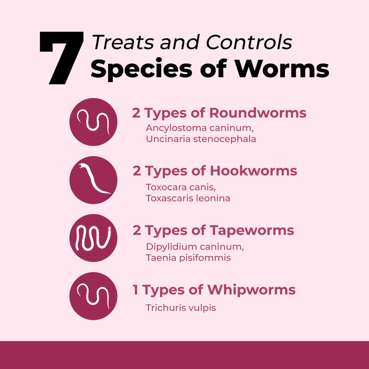 7 Way Dewormer for Dogs, Broad Spectrum Deowrmer for Roundworms, Hookworms, Tapeworms, Whipworms, Dog Dewormer for Small Dogs & Puppies, 12 Tablets