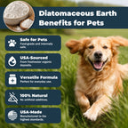 VivaElixir Diatomaceous Earth for Dogs – Trusted Protection, Naturally