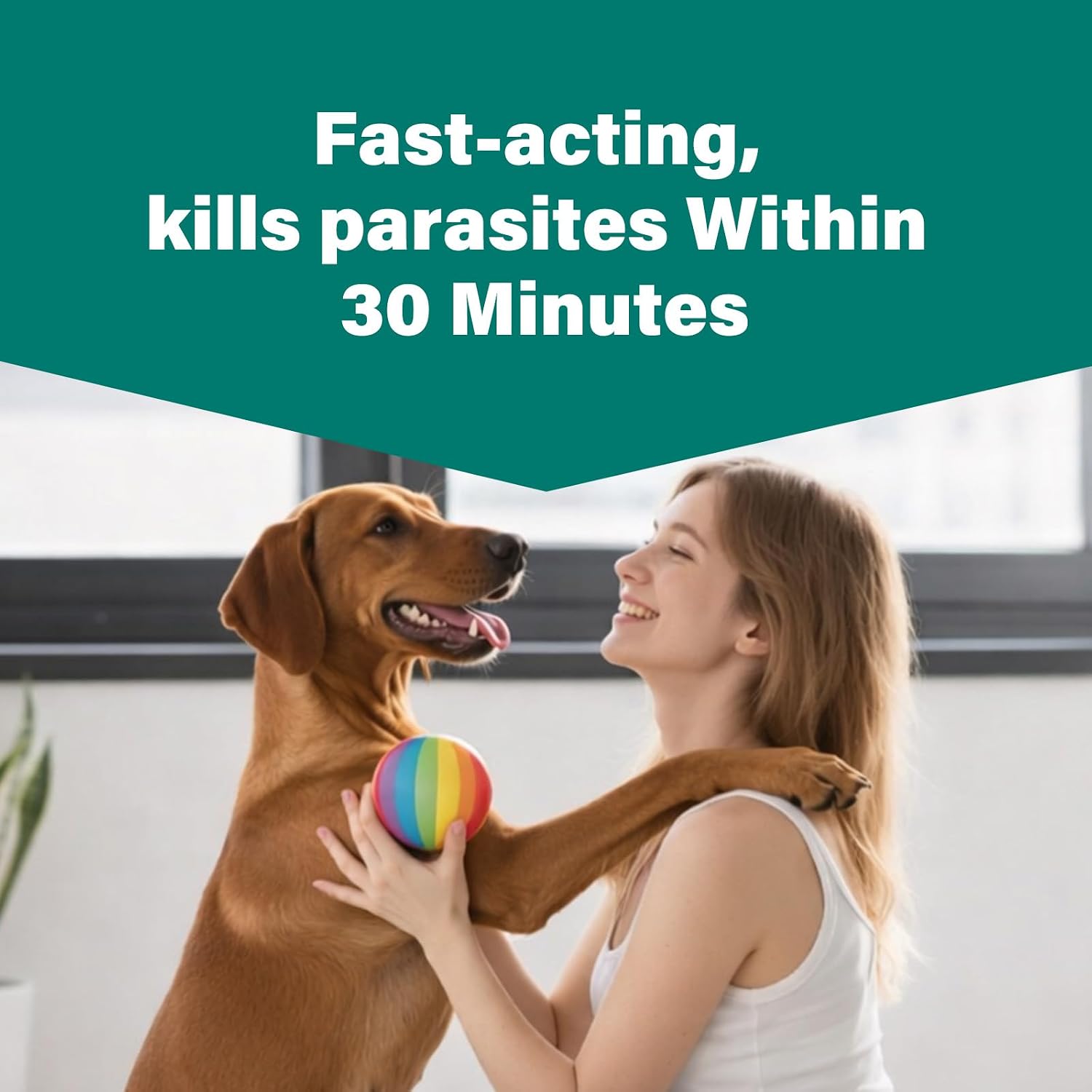 Pyrantel Pamoate De-wormer for Medium and Large Dogs, Oral Treatment for Tapeworm, Roundworm & Hookworm