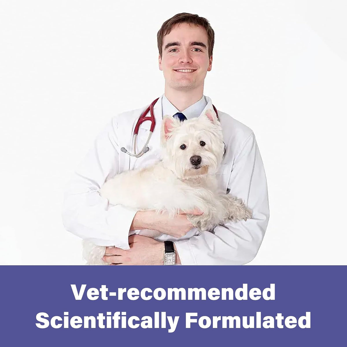 De-Wormer for Puppies and Small Dogs, Dewormer Chewables, (pyrantel pamoate/praziquantel) Controls Tapeworms, Roundworms & Hookworms, Easy to Administer Canine Worm Treatment