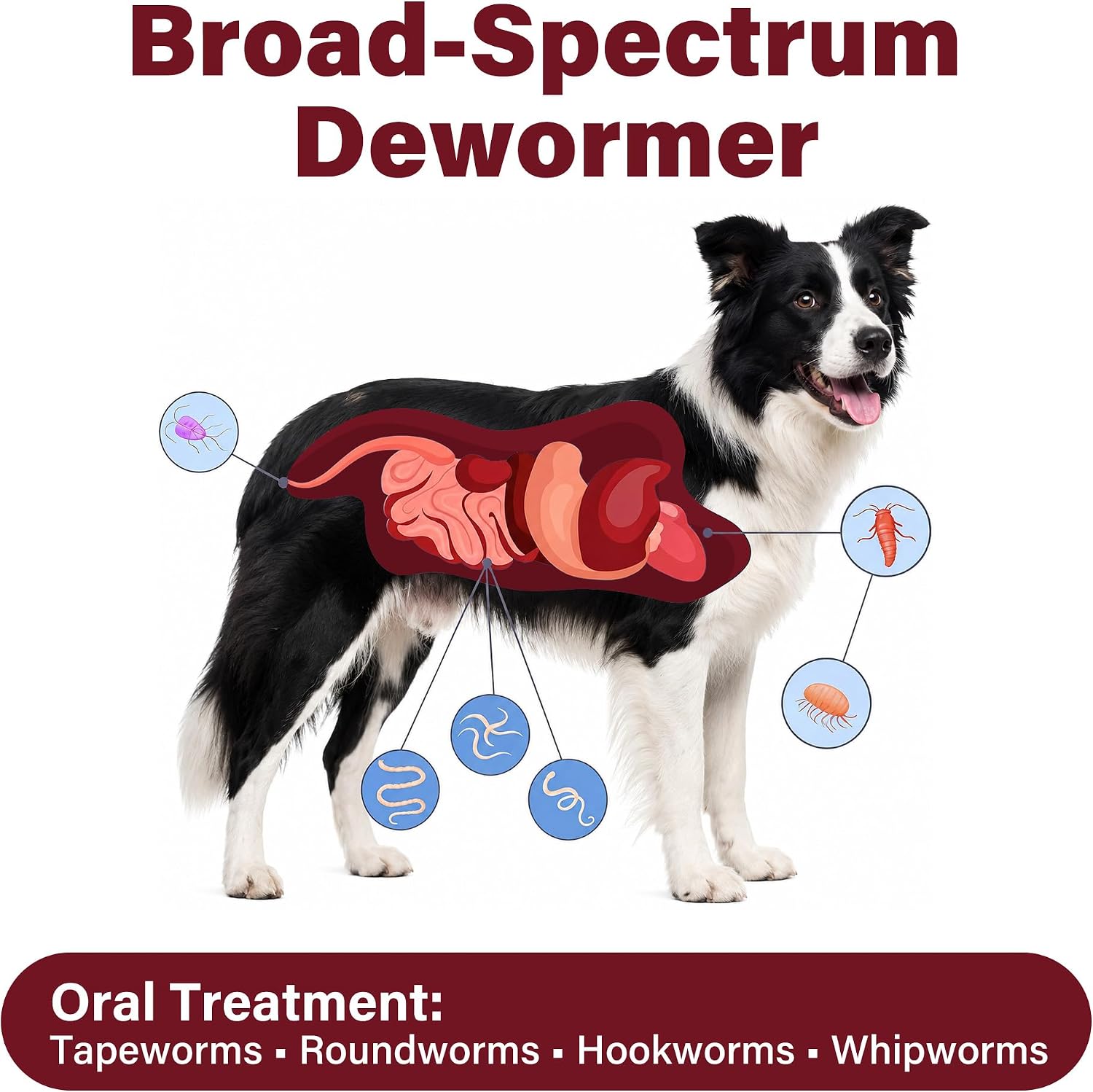 Dewormer for Dogs（Fenbendazole），Treatment and Control of Tapeworm，Roundworm，Hookworm，Whipworms，Lungworm & Giardia for All Ages & Breeds Dogs, Palatable Beef Flavor，Easy Dosing，30 Tablets