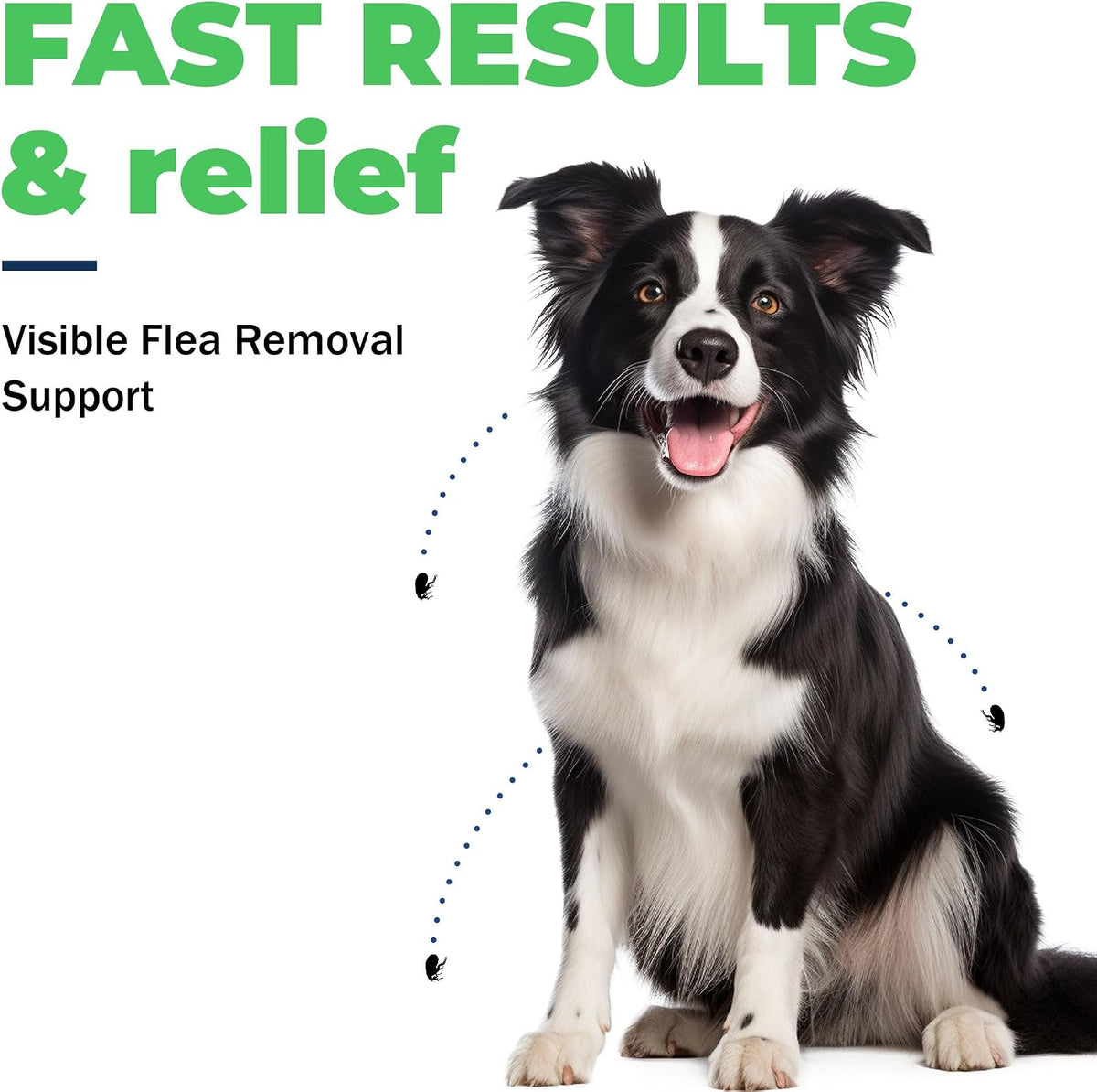 for Dogs (nitenpyram), Fast-Acting Oral Flea Treatment for Dogs Over 25+ lbs, Vet-Recommended Flea Medication Tablets Start Killing in 30 Minutes, 12 Tablets