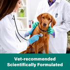 Pyrantel Pamoate De-wormer for Medium and Large Dogs, Oral Treatment for Tapeworm, Roundworm & Hookworm