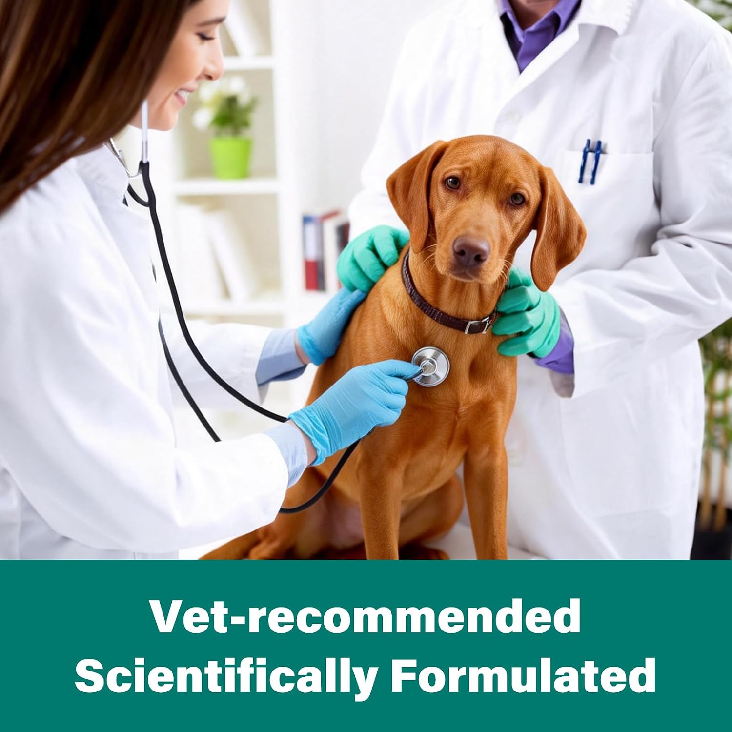 Pyrantel Pamoate De-wormer for Medium and Large Dogs, Oral Treatment for Tapeworm, Roundworm & Hookworm