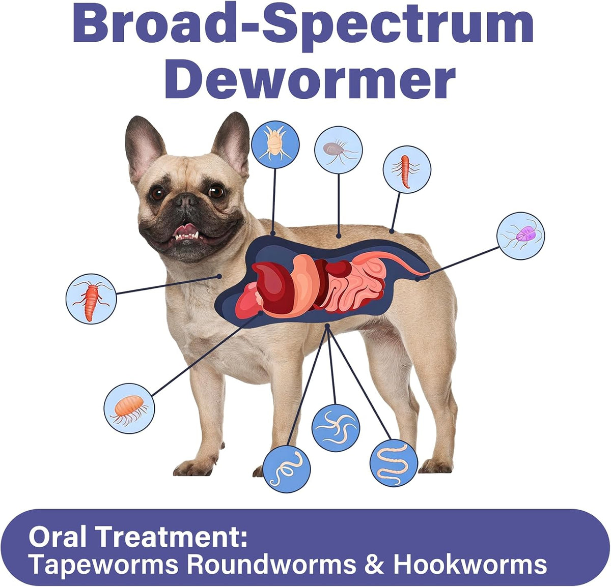 De-Wormer for Puppies and Small Dogs, Dewormer Chewables, (pyrantel pamoate/praziquantel) Controls Tapeworms, Roundworms & Hookworms, Easy to Administer Canine Worm Treatment