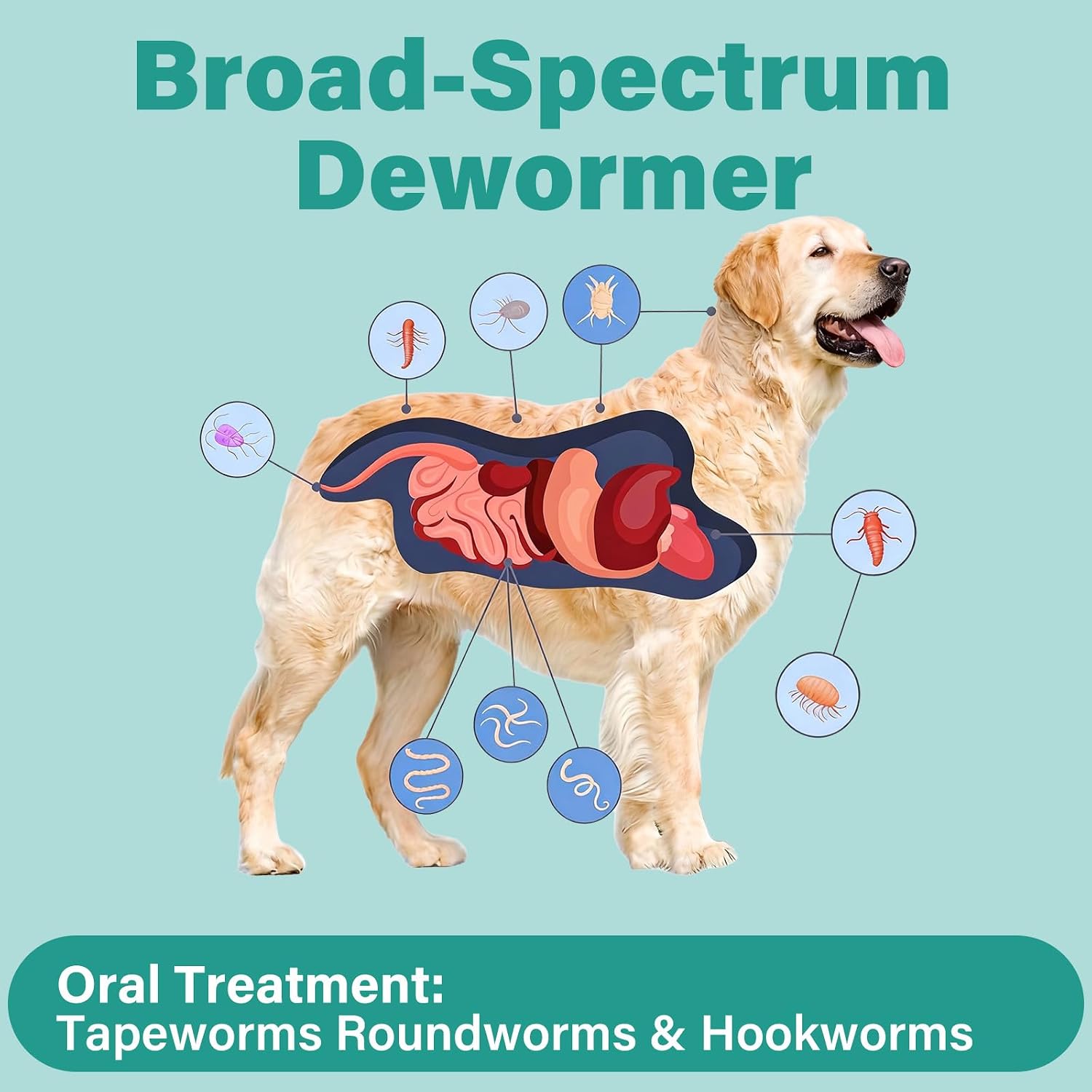 De-Wormer for Dogs, Oral Treatment for Tapeworm, Roundworm & Hookworm in Large Dogs & Puppies (Over 25 lbs), Worm Remover (Praziquantel & Pyrantel Pamoate), 50 Tablets
