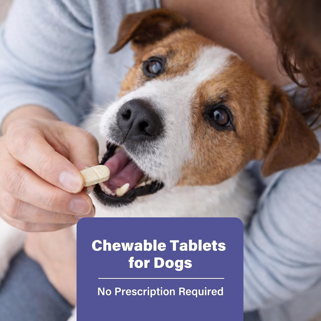 De-Wormer for Puppies and Small Dogs, Dewormer Chewables, (pyrantel pamoate/praziquantel) Controls Tapeworms, Roundworms & Hookworms, Easy to Administer Canine Worm Treatment