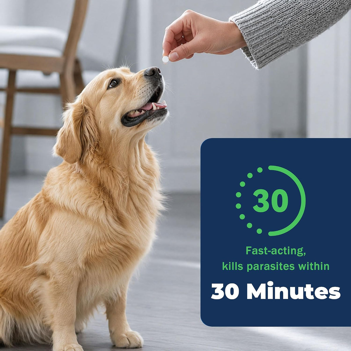 for Dogs (nitenpyram), Fast-Acting Oral Flea Treatment for Dogs Over 25+ lbs, Vet-Recommended Flea Medication Tablets Start Killing in 30 Minutes, 12 Tablets