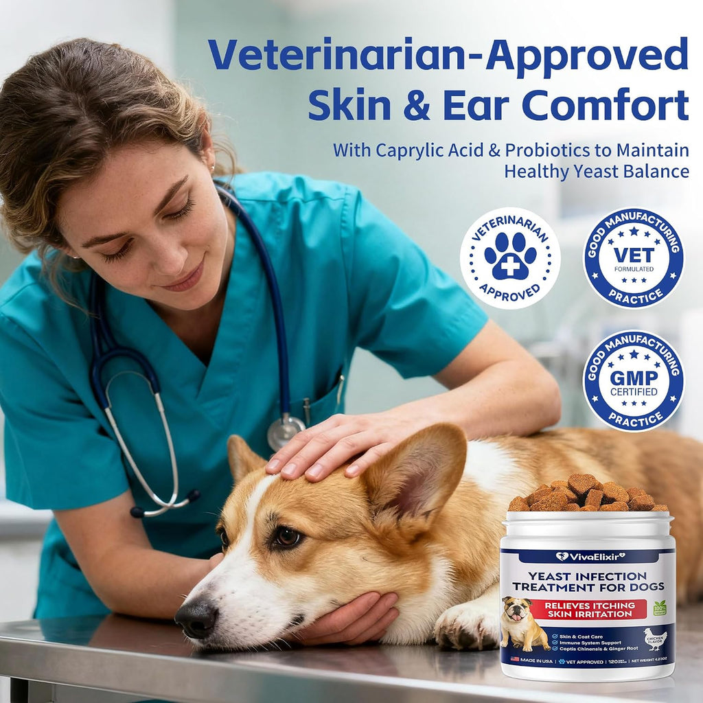 Yeast infection treatment for dogs–Dog ear infection treatment Dog itching skin relief | Caprylic Acid, Pau d’Arco & Goldenseal support Hot spot treatment for dogs Ear Discomfort |120 chewable tablets
