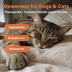 Dewormer for Dogs and Cats | Praziquantel 114 mg & Pyrantel Pamoate 114 mg | Broad Spectrum Dog Dewormer for Tapeworms, Roundworms & Hookworms | 3.38 fl oz (100 mL)