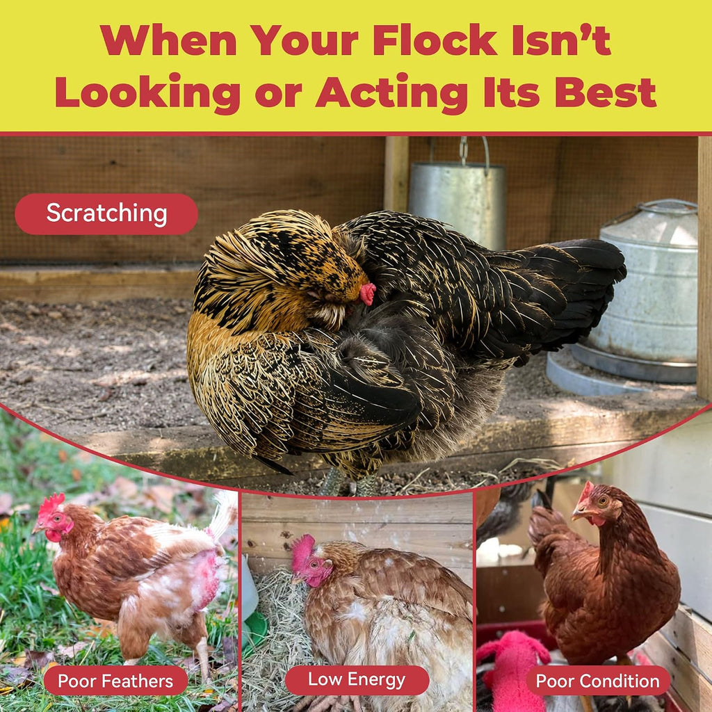 vermectin for Chickens, Poultry Dewormer 10 mg/mL Liquid for Worm, Mite & Lice Care Support, Oral Suspension with Dosing Syringe, for Backyard Chickens & Poultry Flocks, 1.01 oz