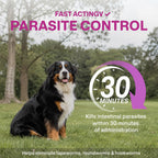 Dewormer for Dogs, with Praziquantel & Pyrantel Pamoate, Helps Control Tapeworms, Roundworms & Hookworms, Dog Wormer Liquid Formula, 3.38 fl oz (100 mL), for Small, Medium & Large Dogs 5–200 lbs