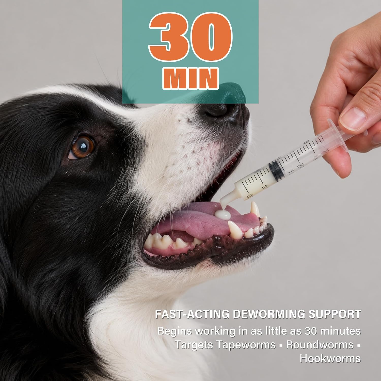 Dewormer for Dogs and Cats | Praziquantel 114 mg & Pyrantel Pamoate 114 mg | Broad Spectrum Dog Dewormer for Tapeworms, Roundworms & Hookworms | 3.38 fl oz (100 mL)
